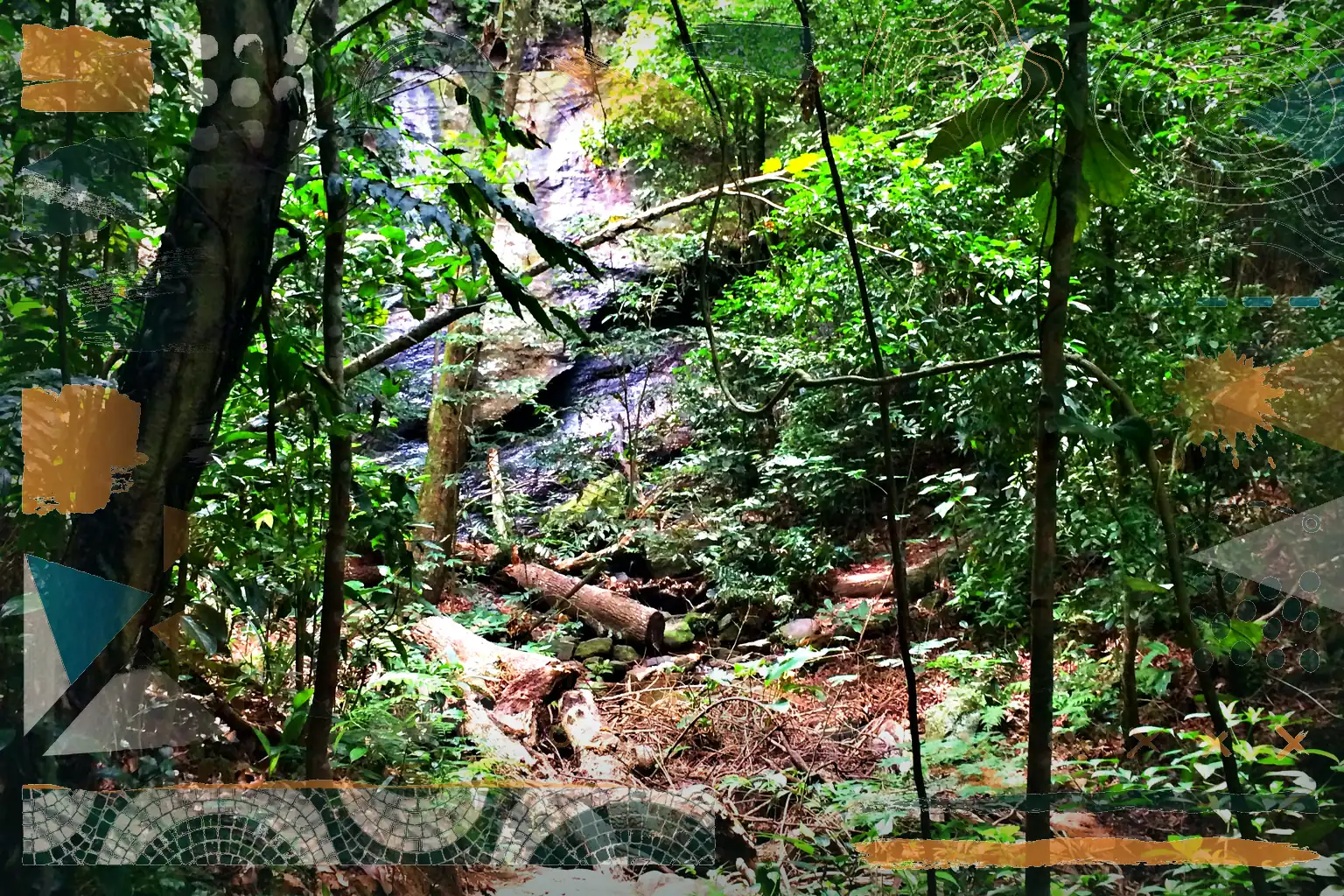 Trilha do Parque Lage ao Corcovado
